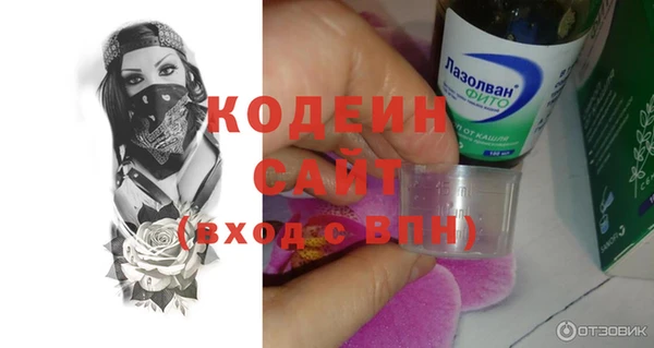 сатива Волоколамск