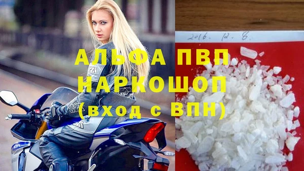 спиды Вяземский