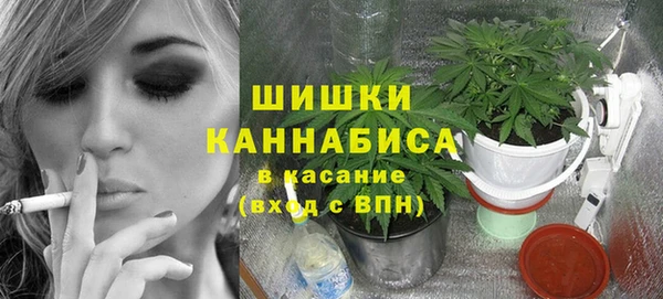 ПСИЛОЦИБИНОВЫЕ ГРИБЫ Волосово