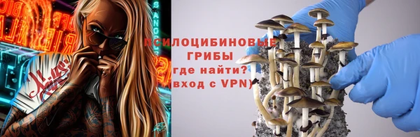 ПСИЛОЦИБИНОВЫЕ ГРИБЫ Волосово
