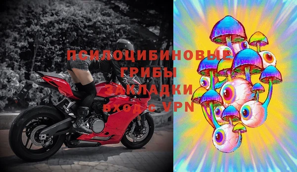 спиды Вяземский